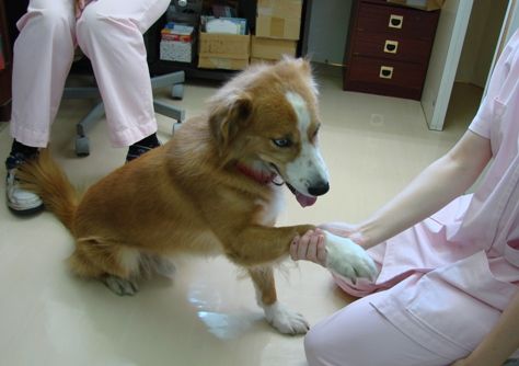 DSC03272