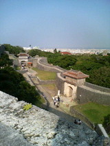 d3968559.JPG
