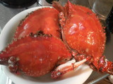 3c424a8d.jpg