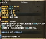 ルーイン