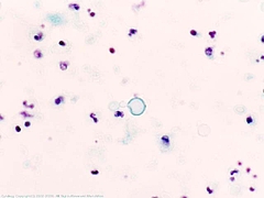 sl1338