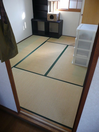 畳