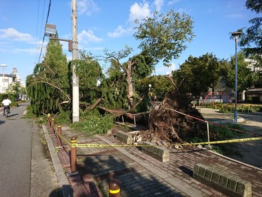 台風被害
