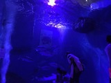 IMG_1815