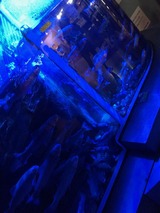 IMG_1812