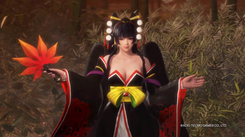 DOA6(2)