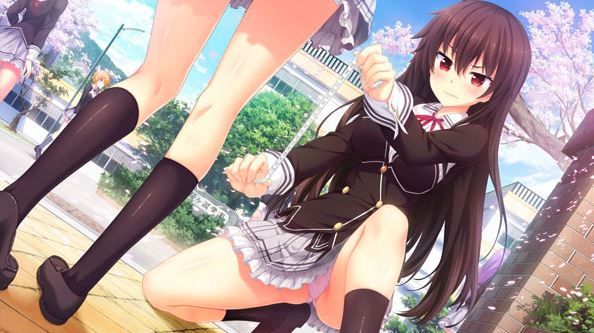 ノラとと(2)