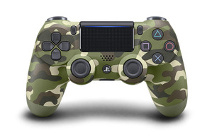 DS