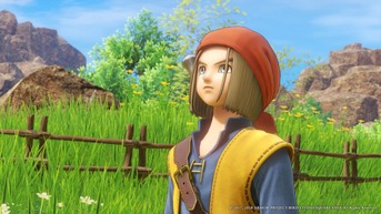 DQ11(17)