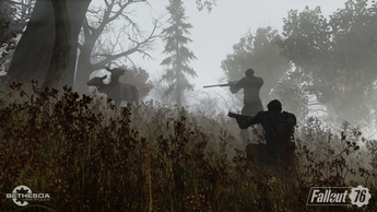 Fallout76(11)
