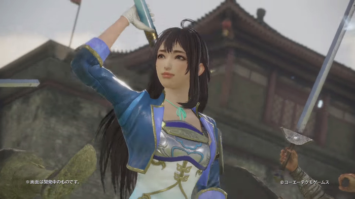 辛憲英:アクション