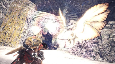 MHW 閃光