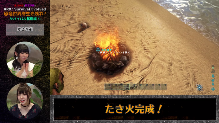 ARK8