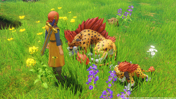 DQ11(4)