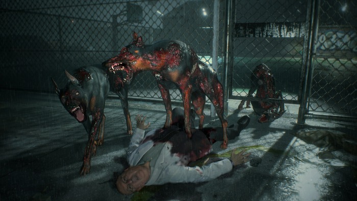 バイオRE2(9)