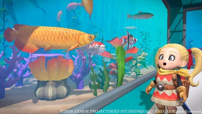 DQB2