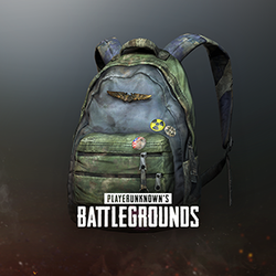 pubg-20181114-16