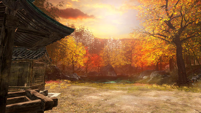 DOA6(13)