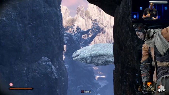 sekiro(11)