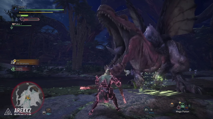 MHW武器5