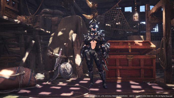 MHW(5)