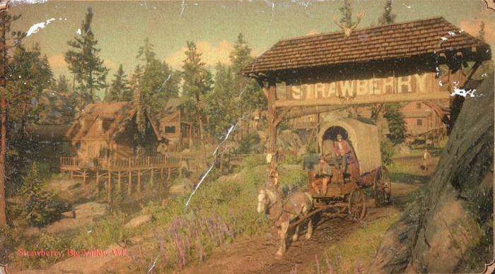 RDR2(17)