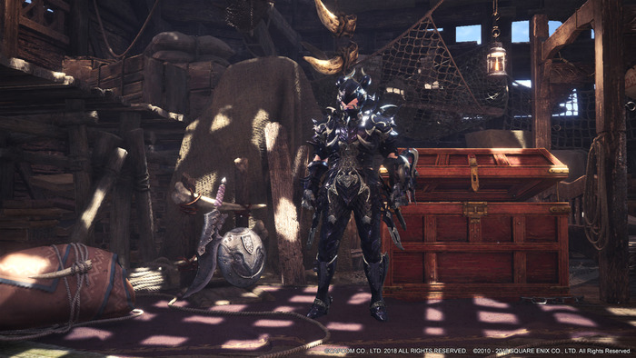 MHW(6)