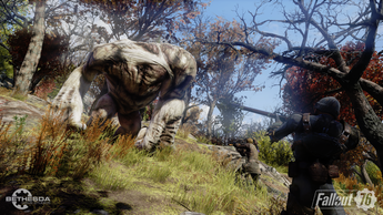Fallout76(12)
