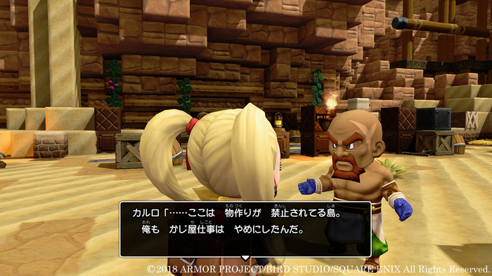 ドラクエビルダーズ2(11)