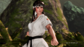 DEAD OR ALIVE 6(2)