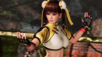 DEAD OR ALIVE 6(1)