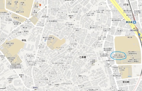 東白楽