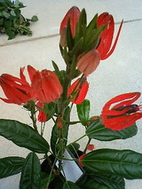834fb7f6.jpg