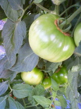 d3d14426.jpg