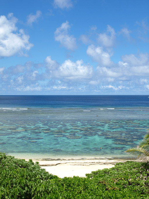 吉野海岸