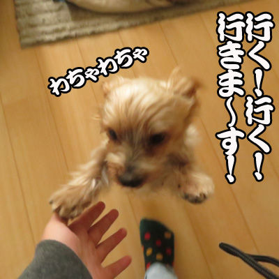 どんど焼き6のコピー