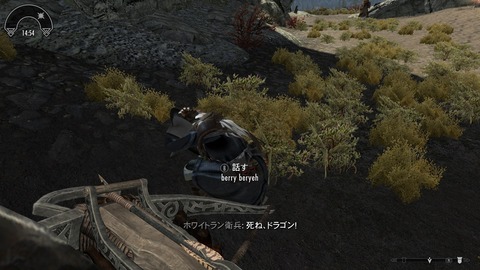 怖がりです