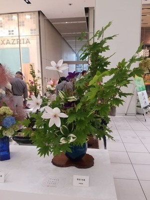 20170611_110815