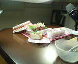 �����դ���