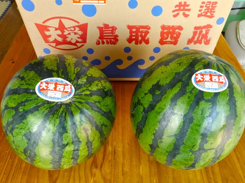 P1040346blog