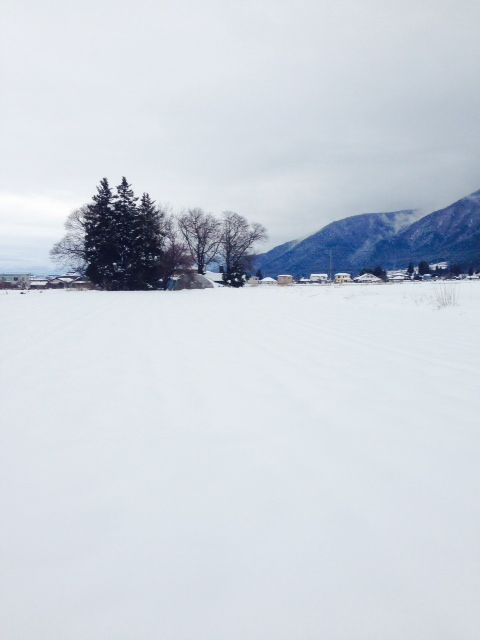 愛知県にも雪が降った日