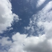 IMG_8579