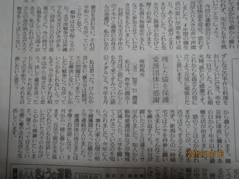 BlogPaint