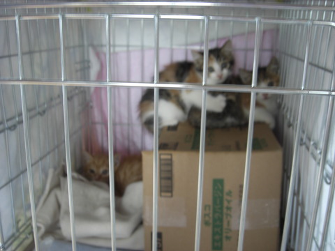 CIMG0011