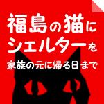 バナー
