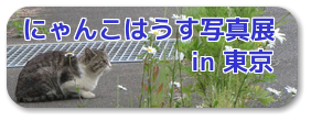 バナー