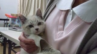 SH3L00360001