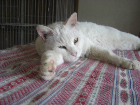 CIMG0053