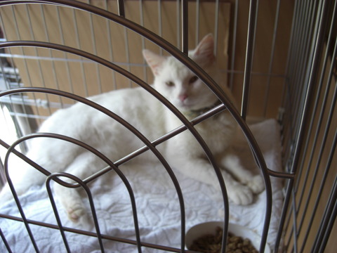 CIMG0021