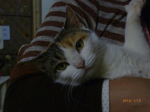 P1010048